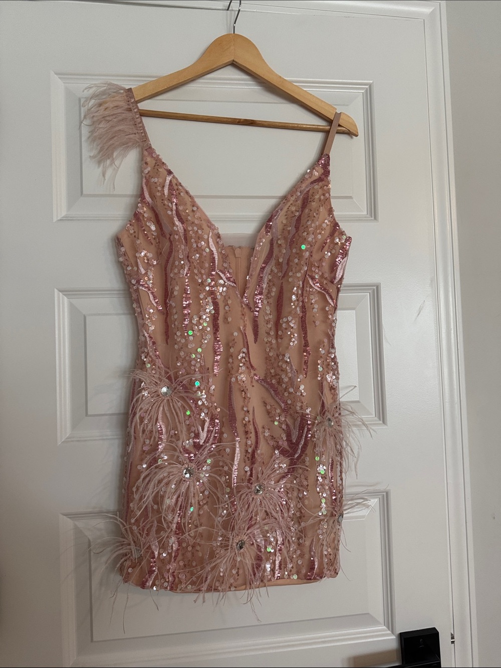 Embellished Pink Feather Trim Mini Dress